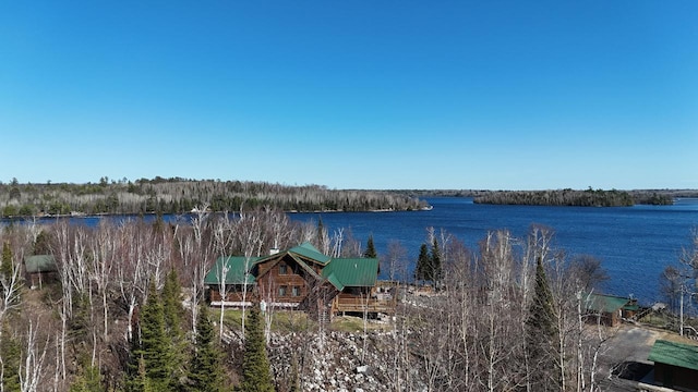 3165 Randa Rd, Orr, MN 55771 - water view