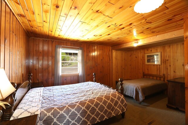 3165 Randa Rd, Orr, MN 55771 - photo 47
