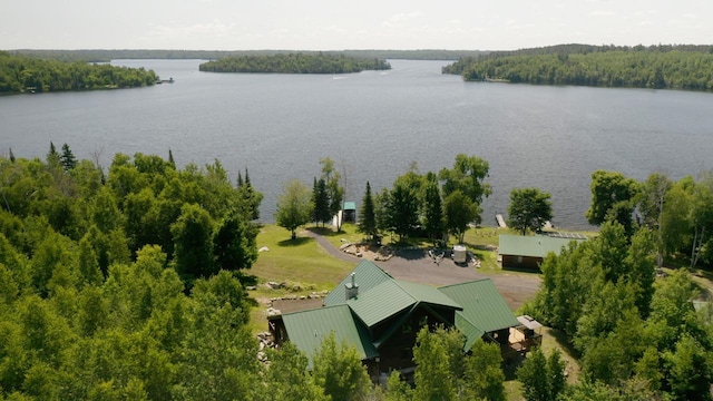3165 Randa Rd, Orr, MN 55771 - photo 60