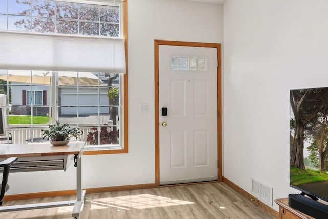 entryway with wood finished floors, baseboards, and healthy amount of natural light