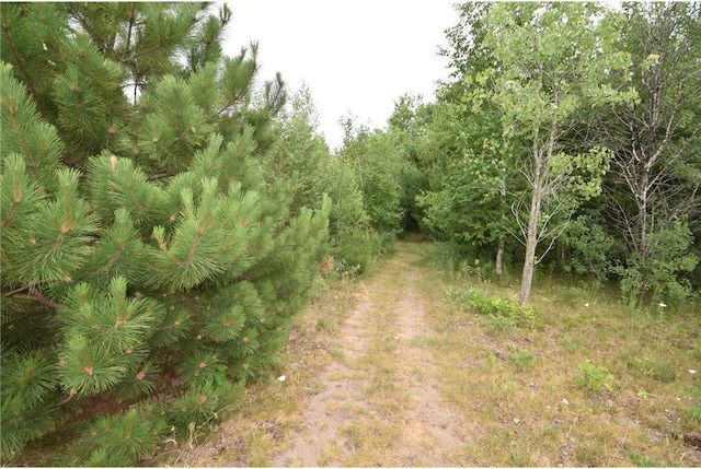 580 Woodduck Trl, Lino Lakes, MN 55014
