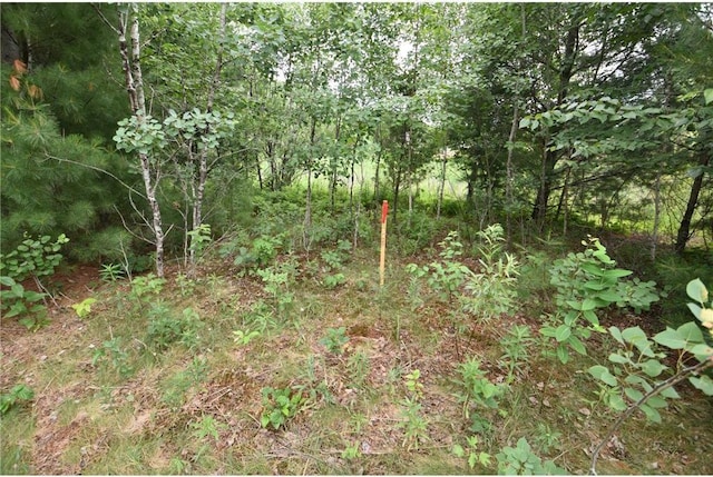 580 Woodduck Trl, Lino Lakes, MN 55014