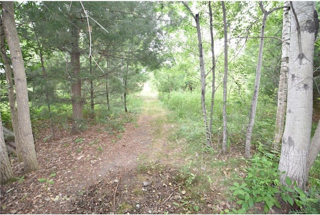 580 Woodduck Trl, Lino Lakes, MN 55014
