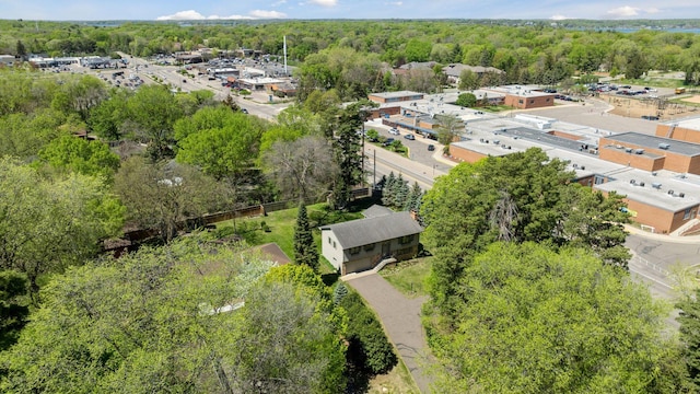 drone / aerial view of a forest