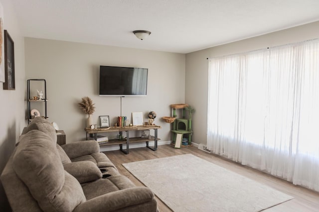 living area featuring light wood finished floors
