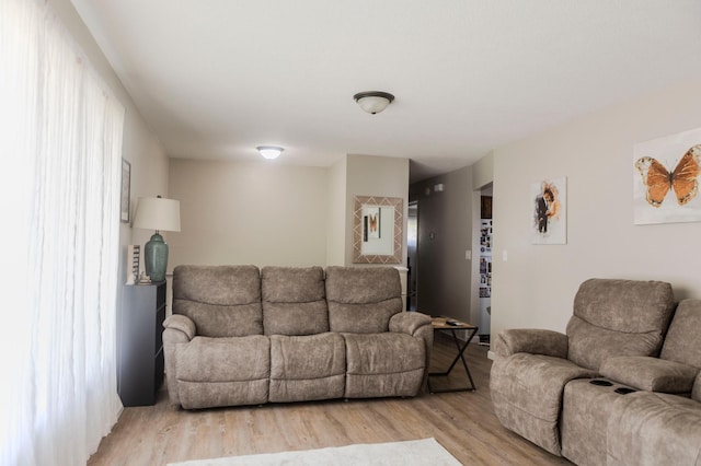 living room featuring light wood-style floors