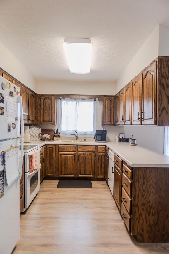kitchen with white appliances, a sink, light wood finished floors, light countertops, and a textured ceiling