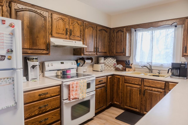 kitchen featuring under cabinet range hood, white appliances, a sink, and light countertops