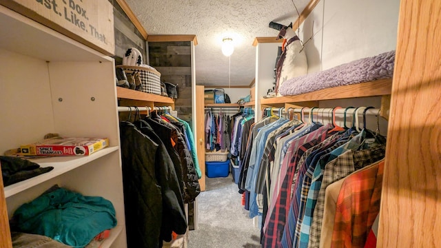 walk in closet featuring carpet floors