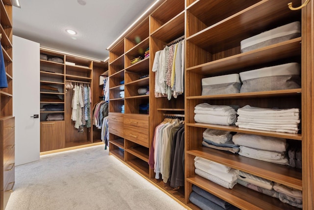 12745 Stutz Ct NE, Blaine, MN 55449 - spacious closet with carpet floors
