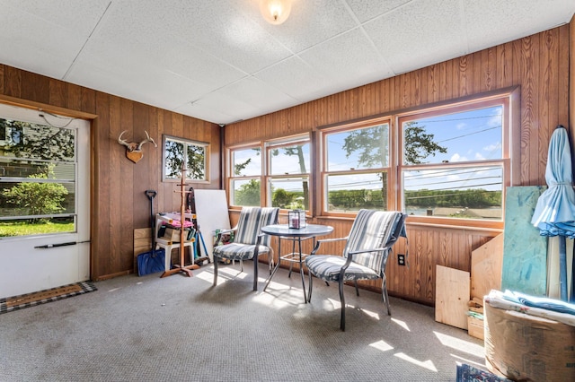 304 2nd St, Alma, WI 54610 - living area featuring wooden walls and carpet floors