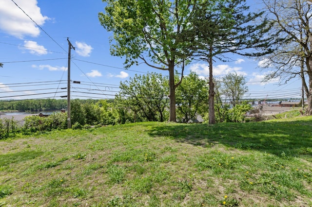304 2nd St, Alma, WI 54610 - view of yard