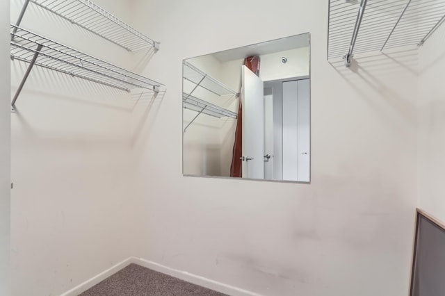 spacious closet featuring carpet