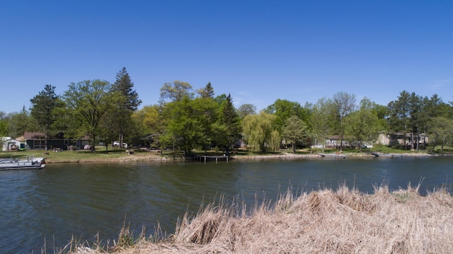 43222 Long Lake Ln, Rush Lake Twp, MN 56571 - photo 5