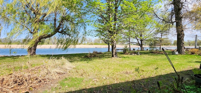 43222 Long Lake Ln, Rush Lake Twp, MN 56571 - photo 7