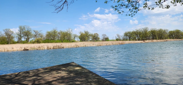 43222 Long Lake Ln, Rush Lake Twp, MN 56571 - photo 55