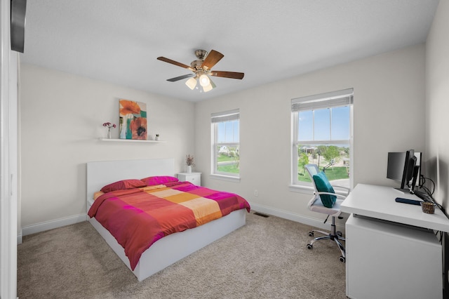 4118 San Vitero Ct, Victoria, MN 55318 - bedroom with baseboards, carpet floors, a desk, and a ceiling fan