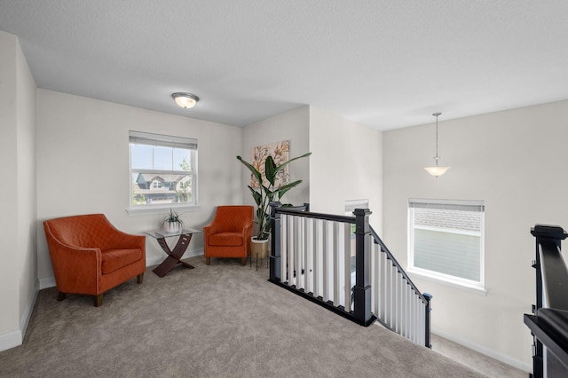 4118 San Vitero Ct, Victoria, MN 55318 - sitting room featuring an upstairs landing, carpet flooring, and baseboards