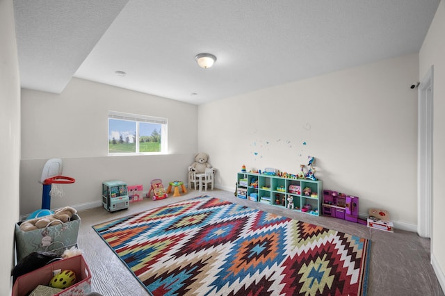 4118 San Vitero Ct, Victoria, MN 55318 - recreation room featuring carpet floors, baseboards, and a textured ceiling