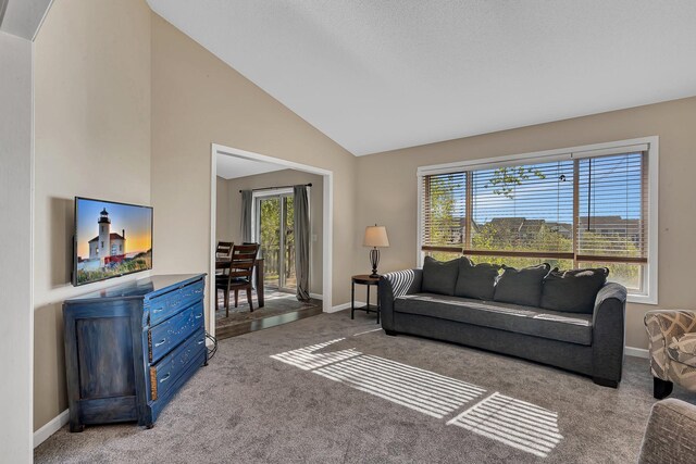 7320 Deer Pass Dr, Centerville, MN 55038 - carpeted living area featuring baseboards and lofted ceiling