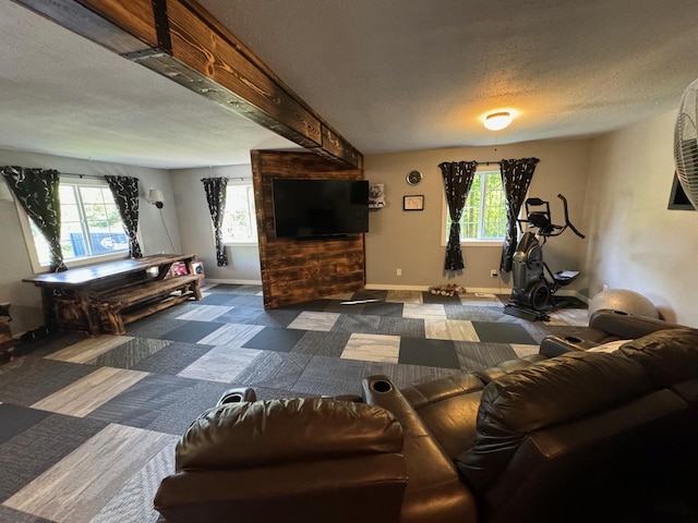 791 W Rd, Wright, MN 55798 - living room featuring a textured ceiling, carpet flooring, and baseboards