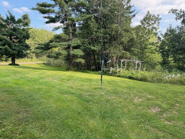 791 W Rd, Wright, MN 55798 - view of green lawn