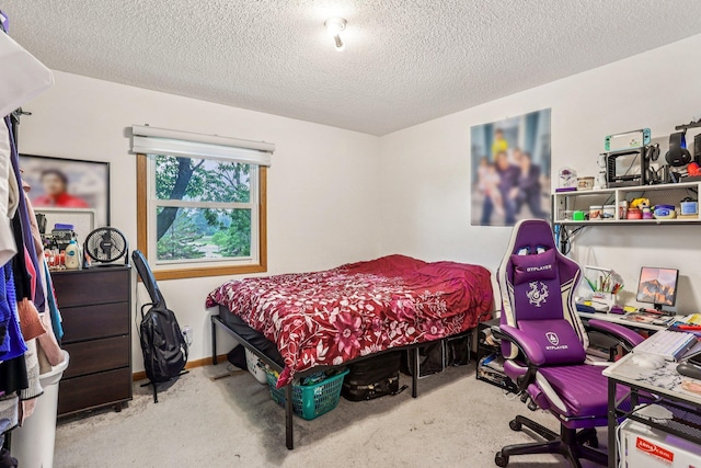 6012 Beard Ave N, Brooklyn Center, MN 55429 - bedroom with a textured ceiling