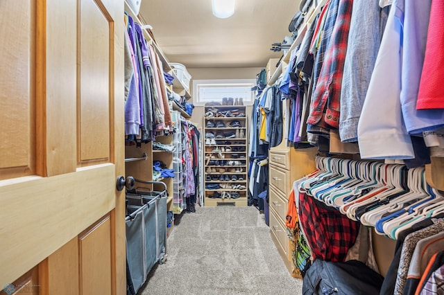 3914 21st Ave S, Moorhead, MN 56560 - walk in closet featuring carpet flooring