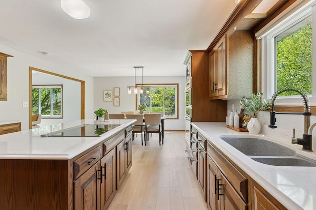 kitchen with a sink, black electric cooktop, healthy amount of natural light, and light wood-style flooring
