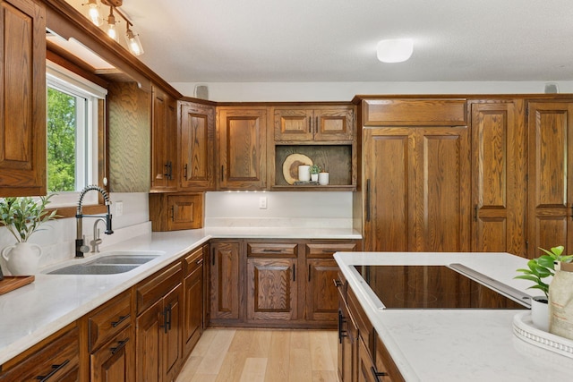 kitchen featuring a sink, black electric cooktop, light countertops, and light wood-style floors