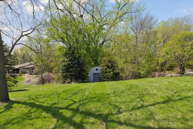 view of grassy yard featuring a storage unit and an outdoor structure