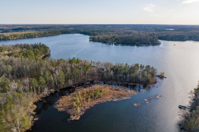 29829 Minerva Cir, Swiss Twp, WI 54830 - aerial overview of property's location with a heavily wooded area and a nearby body of water