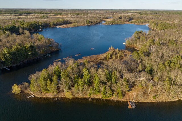 29829 Minerva Cir, Swiss Twp, WI 54830 - aerial view of a heavily wooded area and a large body of water