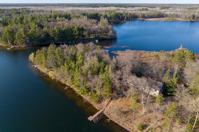 29829 Minerva Cir, Swiss Twp, WI 54830 - bird's eye view of a nearby body of water and a forest