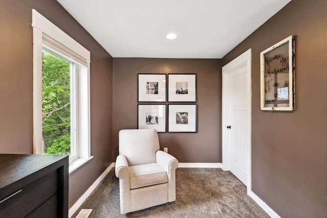 2327 Olive Ave, Orono, MN 55391 - photo 23