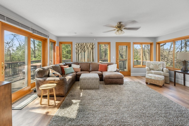 29825 Minerva Cir, Swiss Twp, WI 54830 - sunroom with healthy amount of natural light, wood finished floors, and baseboards