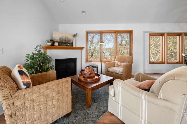 29825 Minerva Cir, Swiss Twp, WI 54830 - living area with wood finished floors, a glass covered fireplace, and vaulted ceiling