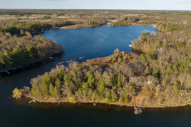 29825 Minerva Cir, Swiss Twp, WI 54830 - aerial view of a heavily wooded area and a large body of water