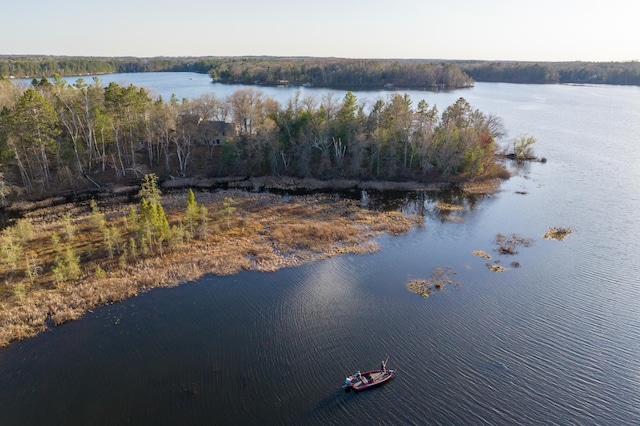 29825 Minerva Cir, Swiss Twp, WI 54830 - water view featuring a forest
