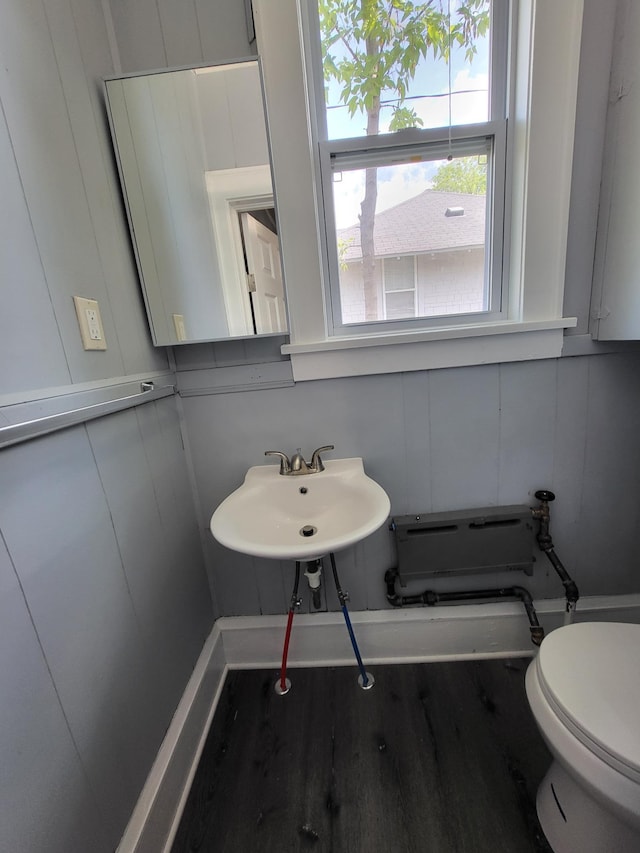 bathroom featuring wood finished floors, toilet, a decorative wall, and a sink