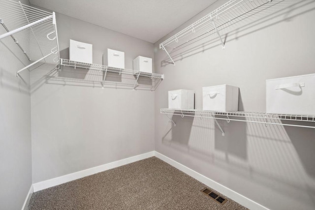 walk in closet with carpet