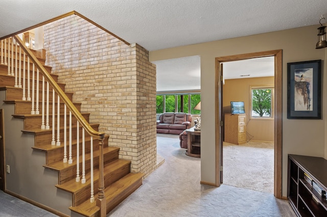 32355 Nottingham Ct, Chisago Lake Twp, MN 55045 - stairs with carpet, a textured ceiling, and baseboards