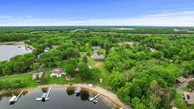 32355 Nottingham Ct, Chisago Lake Twp, MN 55045 - drone / aerial view of a forest and a large body of water