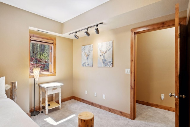 12640 Fawn Lake Rd, Crosslake, MN 56442 - carpeted bedroom featuring track lighting and baseboards