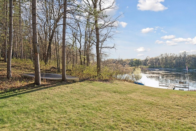 12640 Fawn Lake Rd, Crosslake, MN 56442 - view of grassy yard with a water view and a boat dock