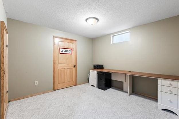 unfurnished office featuring light colored carpet and a textured ceiling