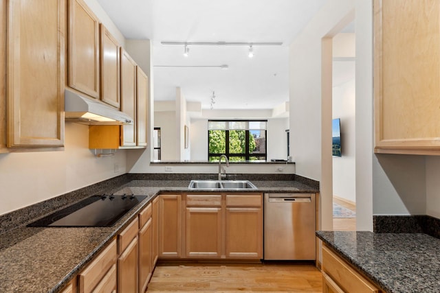 3709 Grand Way Unit 315, Saint Louis Park, MN 55416 - kitchen featuring stainless steel dishwasher, a sink, black electric cooktop, under cabinet range hood, and light wood finished floors