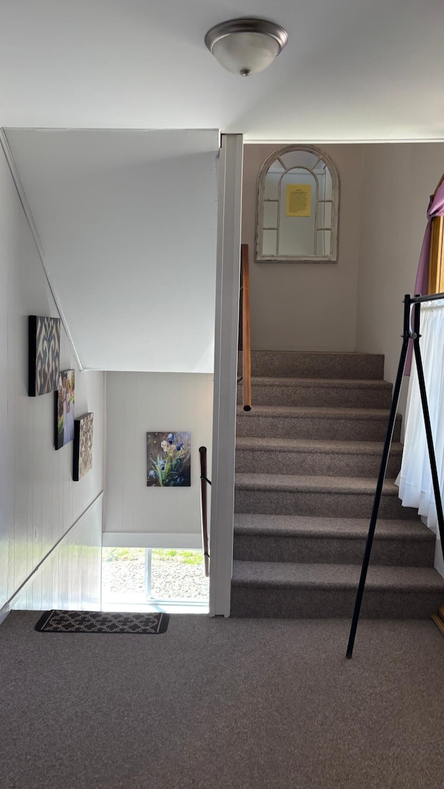 211 1st Ave, Osakis, MN 56360 - stairs with carpet floors