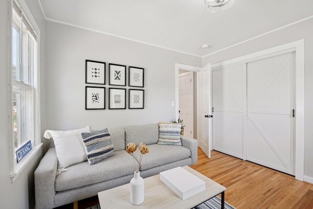 living room featuring light wood-type flooring