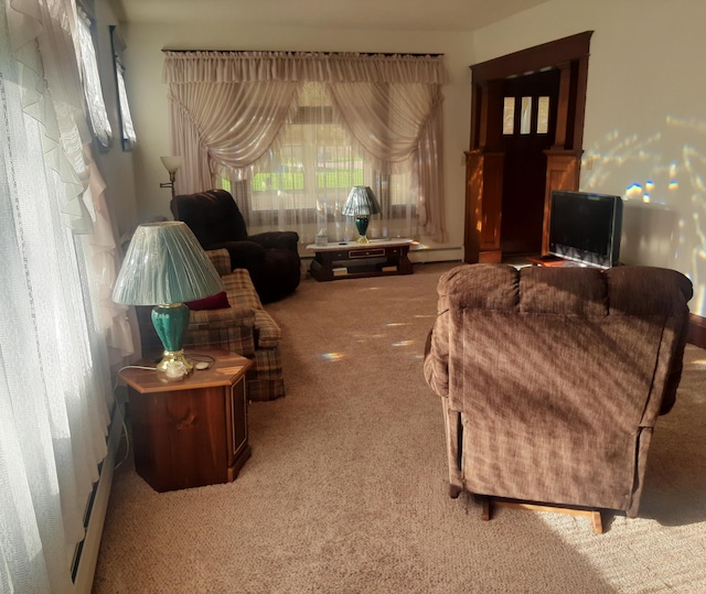 101 8th Ave N, Saint James, MN 56081 - living area featuring carpet and baseboard heating